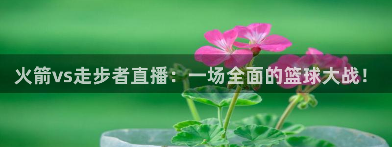 乐球直播在线免费观看：火箭vs走步者直播：一场全面的篮球大战！