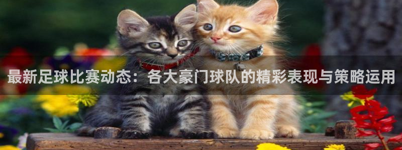 乐球吧直播：最新足球比赛动态：各大豪门球队的精彩表现与策略运用