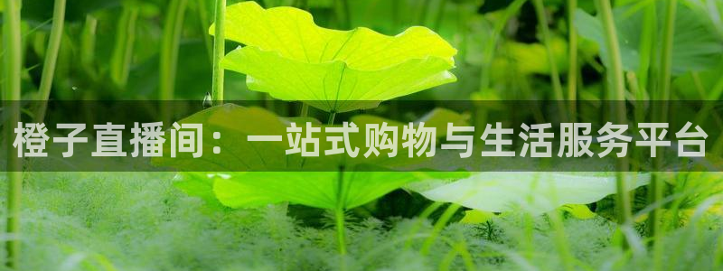 乐球篮球直播：橙子直播间：一站式购物与生活服务平台