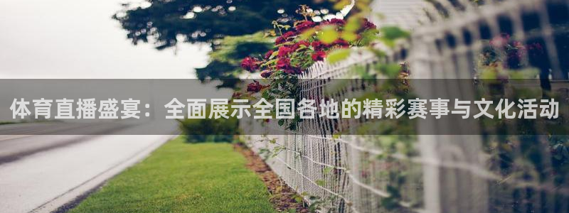 乐球直播网页版入口：体育直播盛宴：全面展示全国各地的精彩赛事与文化活动