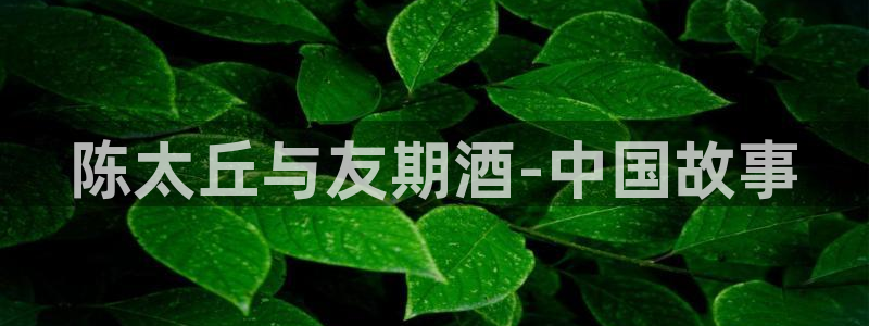 乐球吧jrs手机直播nba：陈太丘与友期酒-中国故事