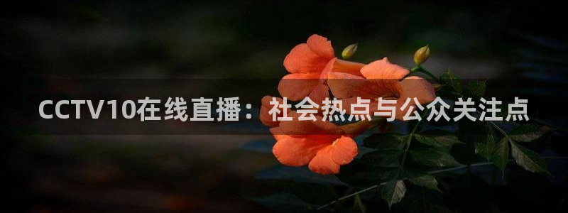 乐球吧直播间