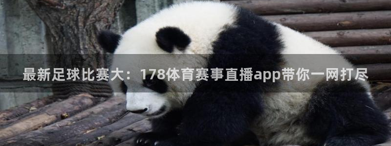乐球直播免费看球赛
