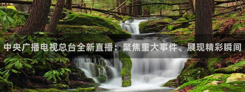乐球播
