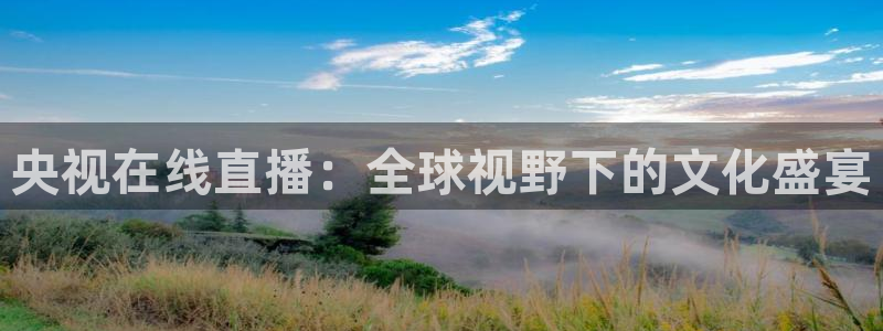 乐球直播nba免费高清观看视频：央视在线直播：全球视野下的文化盛宴
